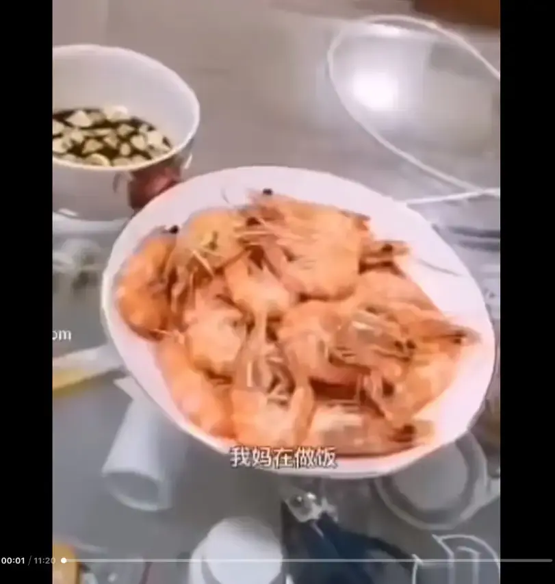 《大虾母子厨房完整版》高清视频百度/夸克/迅雷网盘资源免费在线看-猎奇视频揭开梗的神秘面纱-来龙去脉一看视频就明白了-《大虾母子厨房完整版》梗你知道吗